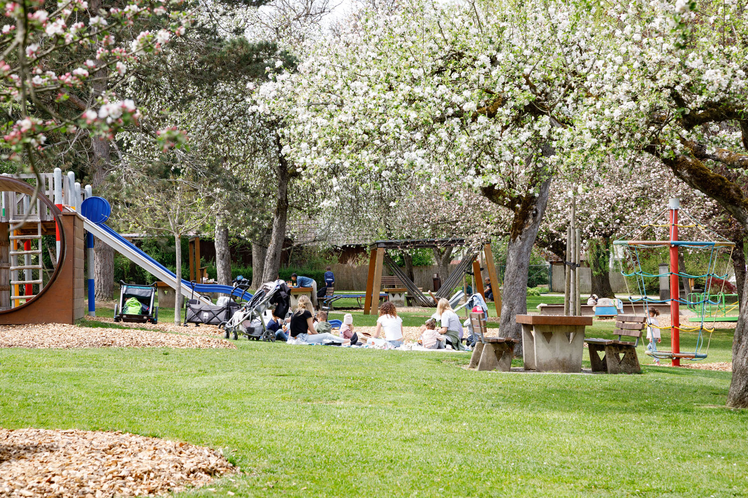 Mach deinen ersten Frühlingsausflug zum Erlebnis.