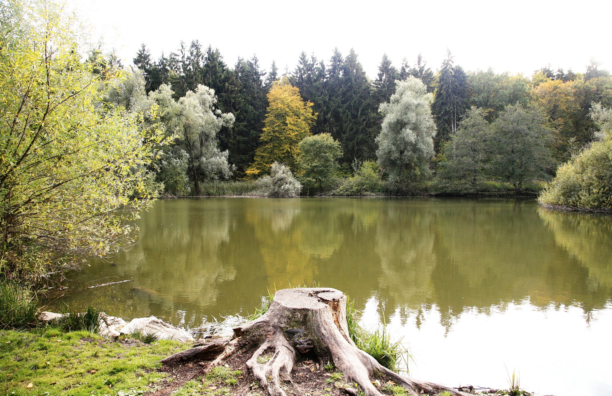 Der Herbst am Bodensee im Wild- und Freizeitpark Allensbach